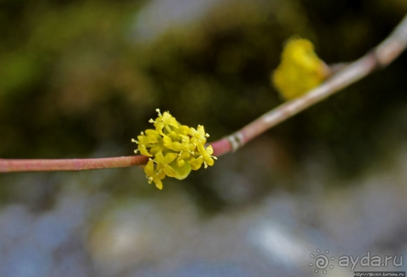 По тропам национального парка Аггетелек (объект ЮНЕСКО №725)