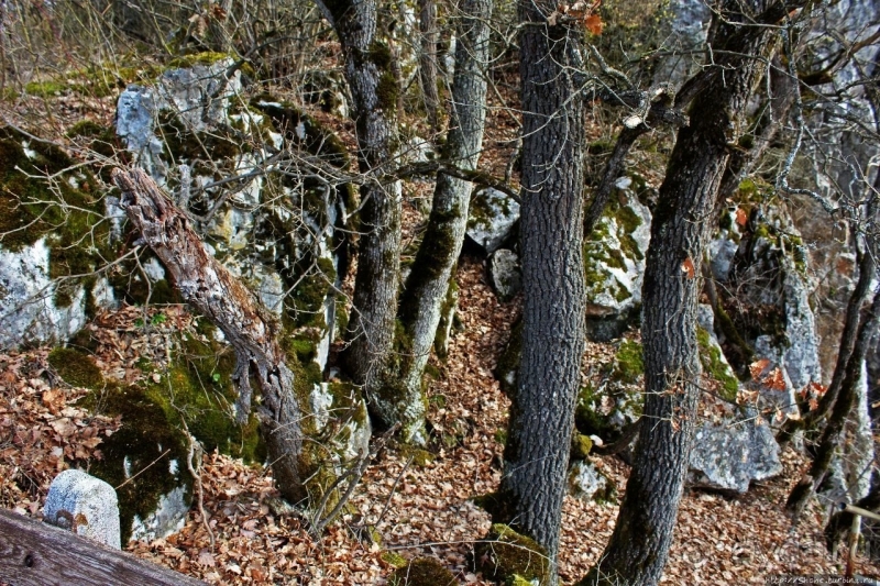 По тропам национального парка Аггетелек (объект ЮНЕСКО №725)