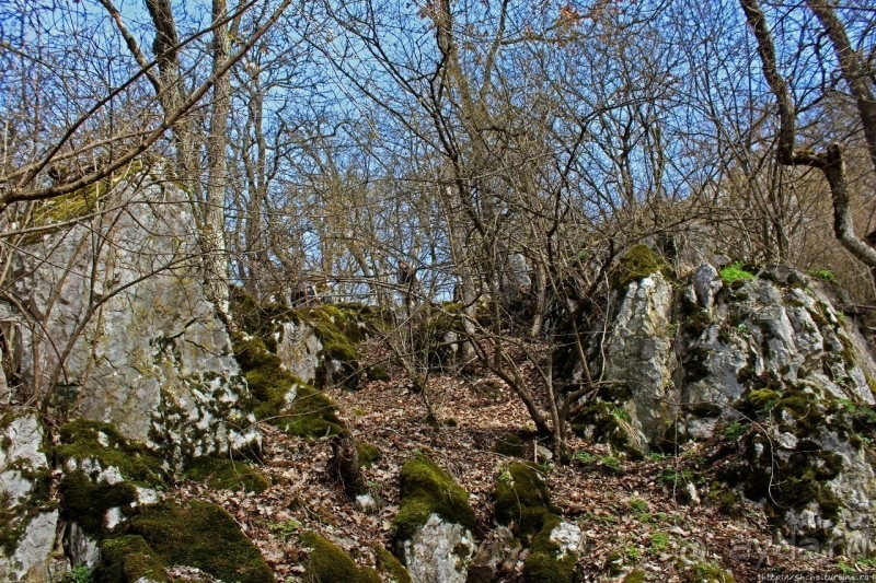 По тропам национального парка Аггетелек (объект ЮНЕСКО №725)