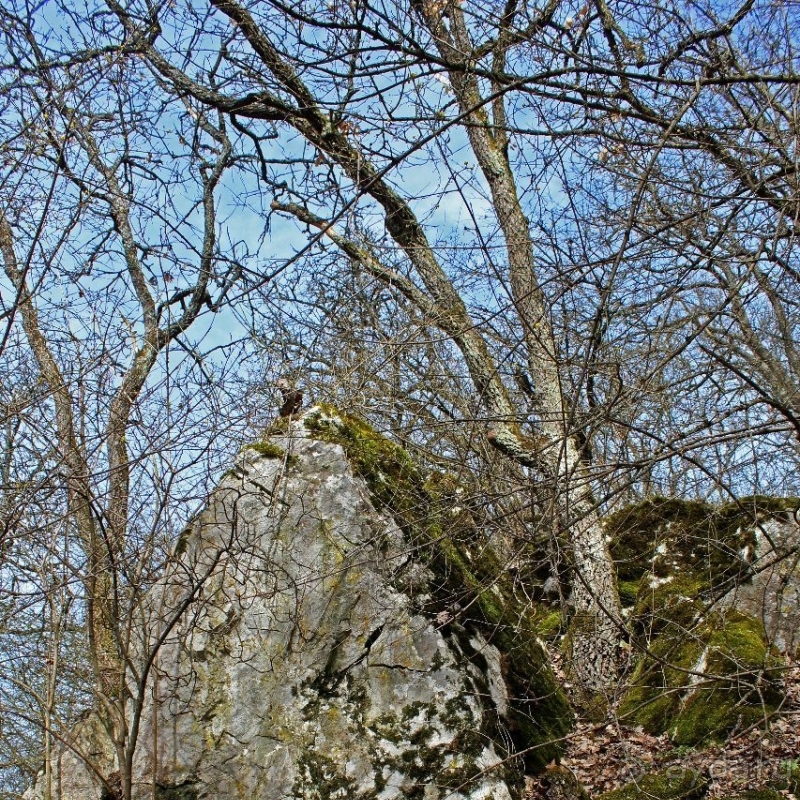 По тропам национального парка Аггетелек (объект ЮНЕСКО №725)