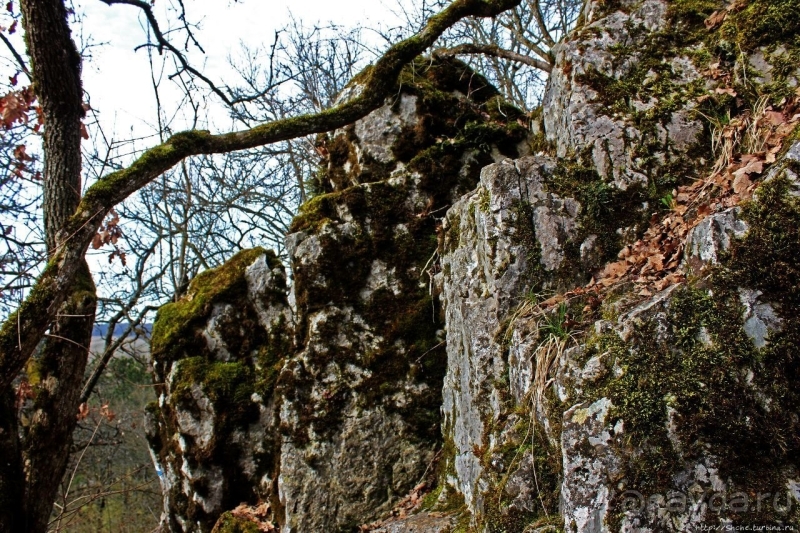 По тропам национального парка Аггетелек (объект ЮНЕСКО №725)