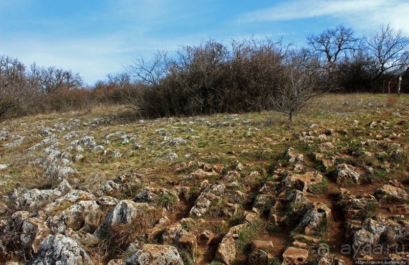 По тропам национального парка Аггетелек (объект ЮНЕСКО №725)