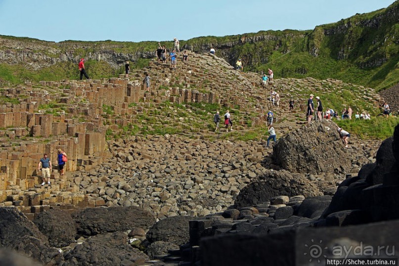 Какие же тогда здесь пчелы? Пчелиные соты на Тропе Великана