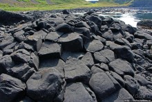 Какие же тогда здесь пчелы? Пчелиные соты на Тропе Великана