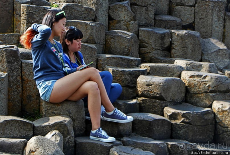 Какие же тогда здесь пчелы? Пчелиные соты на Тропе Великана