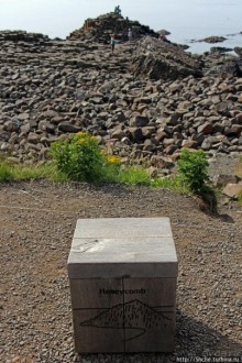 Какие же тогда здесь пчелы? Пчелиные соты на Тропе Великана