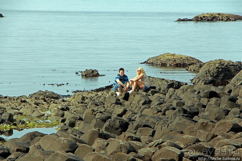 Какие же тогда здесь пчелы? Пчелиные соты на Тропе Великана