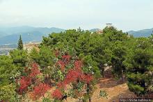 Сидирокастро, затерявшийся в горах. Монастырь Кирику и Иулии