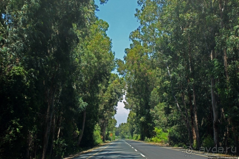 Шпионские страсти. Поиск британской военной базы Акротири 