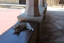 Шпионские страсти. Поиск британской военной базы Акротири 