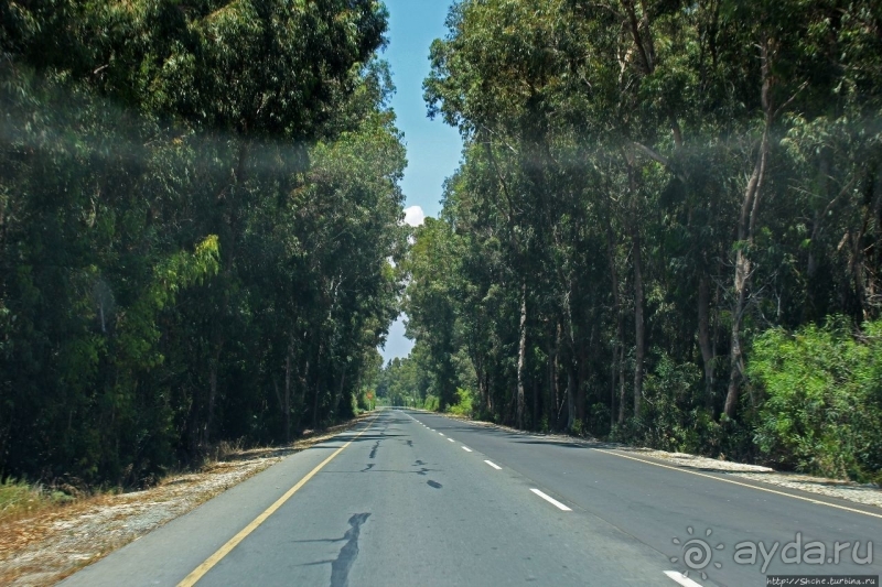 Шпионские страсти. Поиск британской военной базы Акротири 