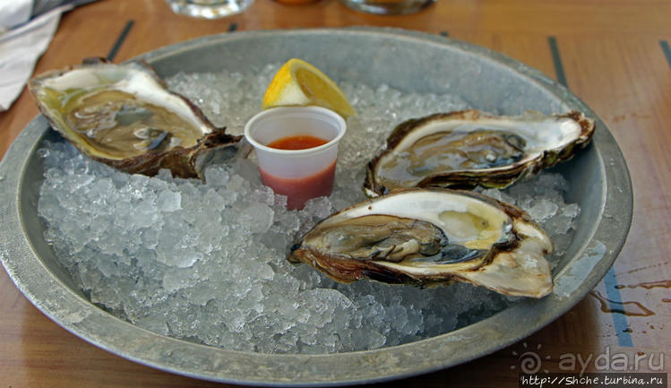 Всегда свежие морепродукты по умеренным ценам