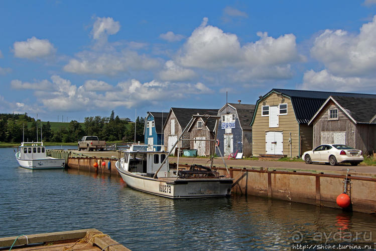 Всегда свежие морепродукты по умеренным ценам