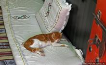 Этнографическая арабская деревня в совремеменной столице ОАЭ