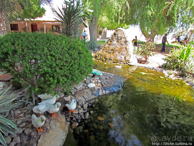 Этнографическая арабская деревня в совремеменной столице ОАЭ