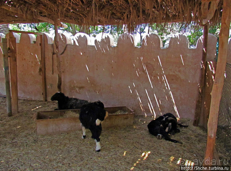 Этнографическая арабская деревня в совремеменной столице ОАЭ