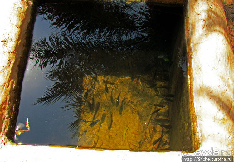 Этнографическая арабская деревня в совремеменной столице ОАЭ