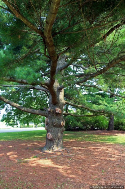 Мемориал летчиков Второй мировой войны в Оттаве