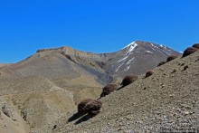 Первые шаги по королевству Ло, тибетский городок Тангбе