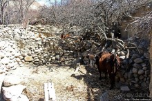 Первые шаги по королевству Ло, тибетский городок Тангбе