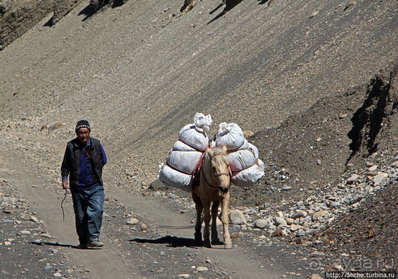 Первые шаги по королевству Ло, тибетский городок Тангбе