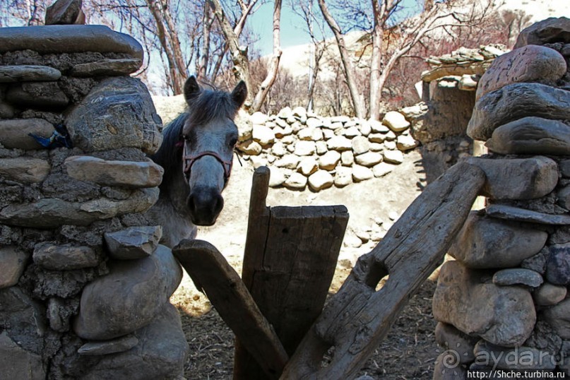 Первые шаги по королевству Ло, тибетский городок Тангбе
