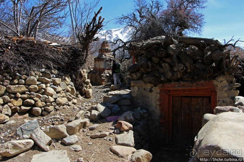 Первые шаги по королевству Ло, тибетский городок Тангбе