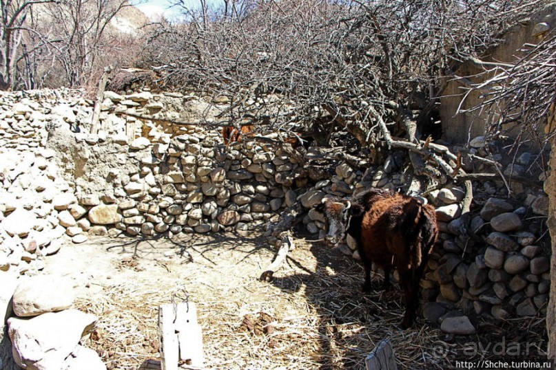 Первые шаги по королевству Ло, тибетский городок Тангбе