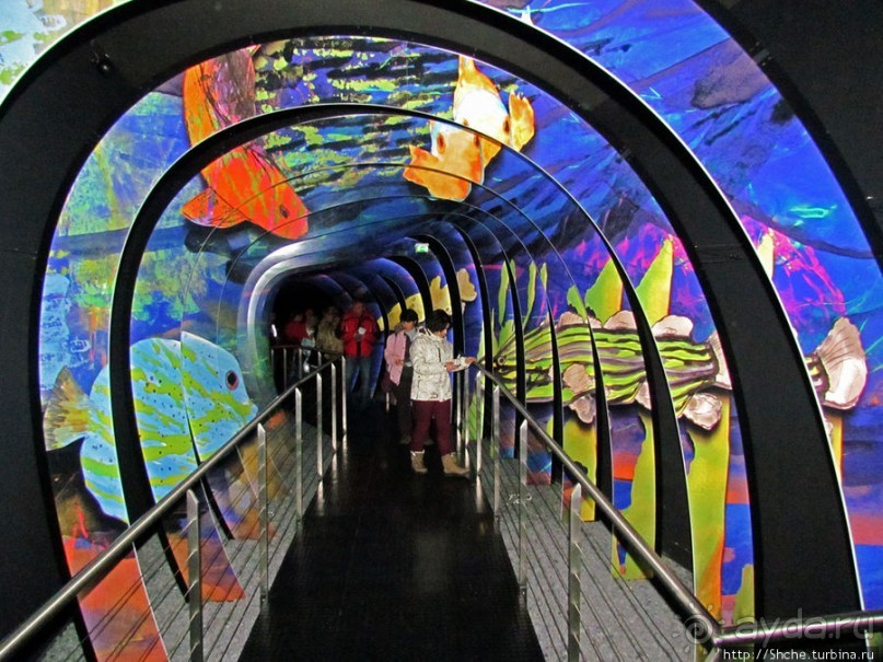 Альбом отзыва ""Кристальные миры Сваровски" - зал за залом"