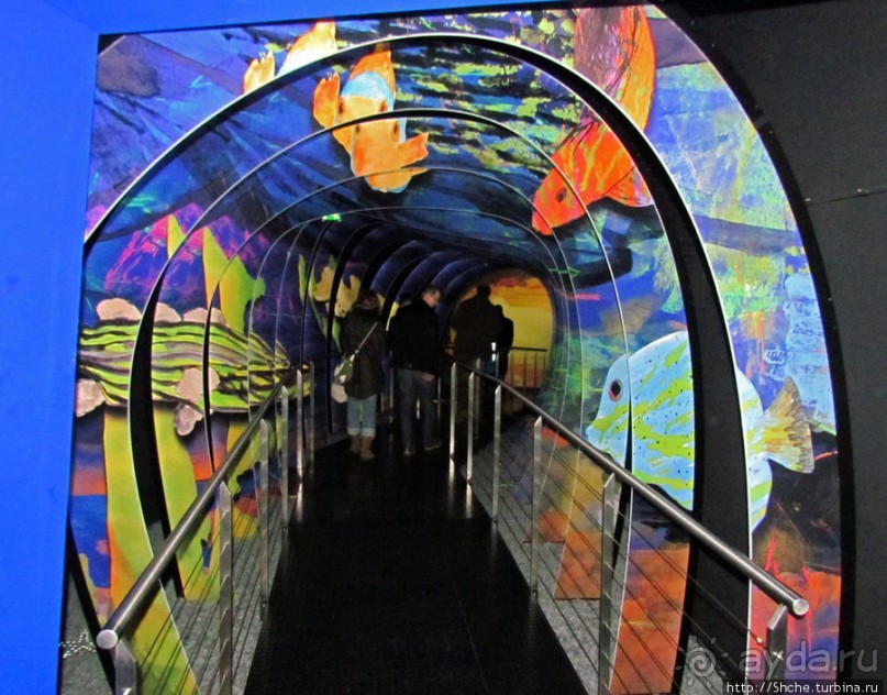 Альбом отзыва ""Кристальные миры Сваровски" - зал за залом"