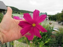 Поехали поесть и купить хорошего сыра