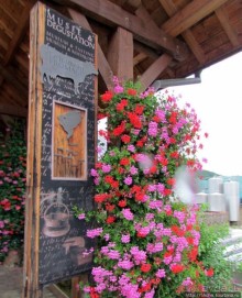 Поехали поесть и купить хорошего сыра