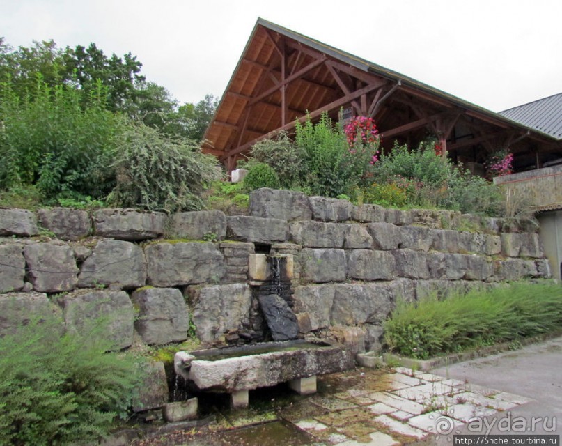 Поехали поесть и купить хорошего сыра