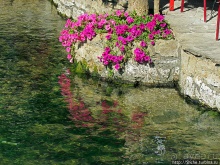 Альбом отзыва "Источник Буна — один из крупнейших и красивейших в Европе"
