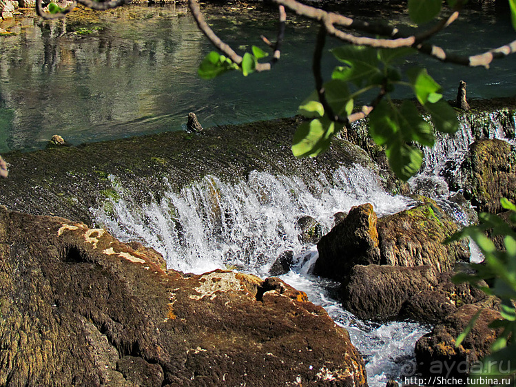 Альбом отзыва "Источник Буна — один из крупнейших и красивейших в Европе"