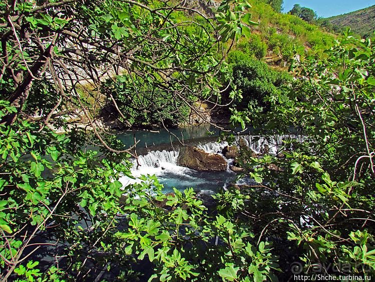 Источник Буна — один из крупнейших и красивейших в Европе