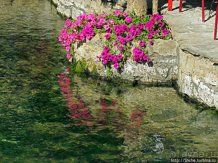 Источник Буна — один из крупнейших и красивейших в Европе