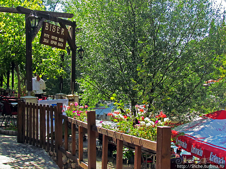 Источник Буна — один из крупнейших и красивейших в Европе