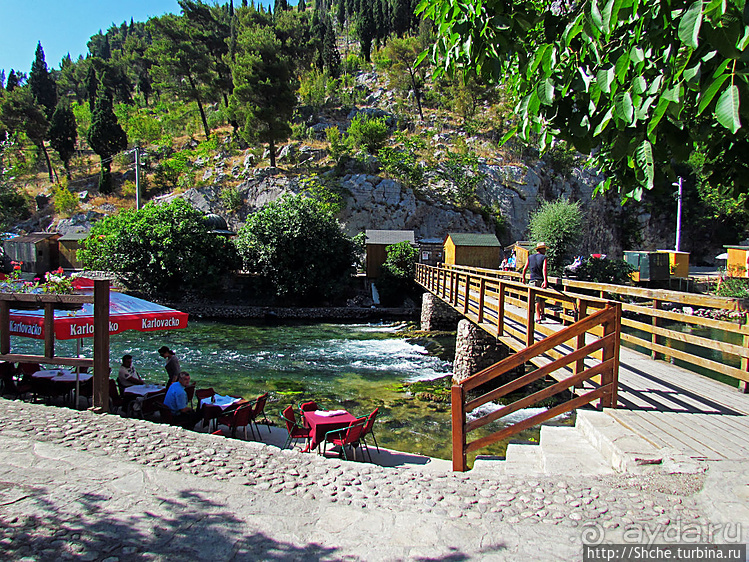 Источник Буна — один из крупнейших и красивейших в Европе