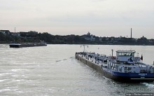 Альбом отзыва "Что ходит по Рейну"