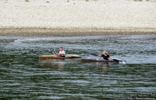 Альбом отзыва "Что ходит по Рейну"