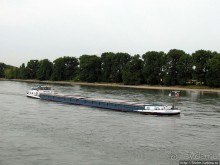 Альбом отзыва "Что ходит по Рейну"