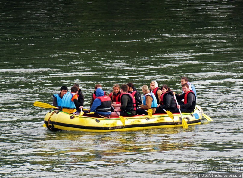 Альбом отзыва "Что ходит по Рейну"