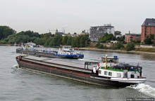 Альбом отзыва "Что ходит по Рейну"