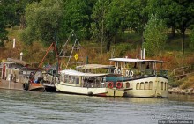 Альбом отзыва "Что ходит по Рейну"