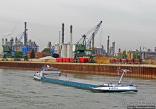 Альбом отзыва "Что ходит по Рейну"