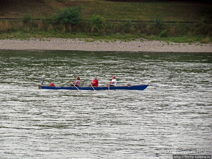 Что ходит по Рейну