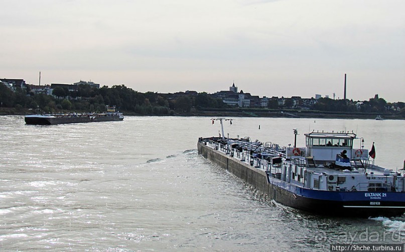 Что ходит по Рейну