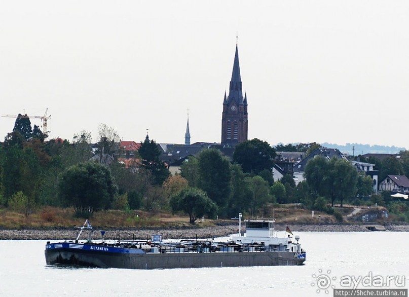 Что ходит по Рейну