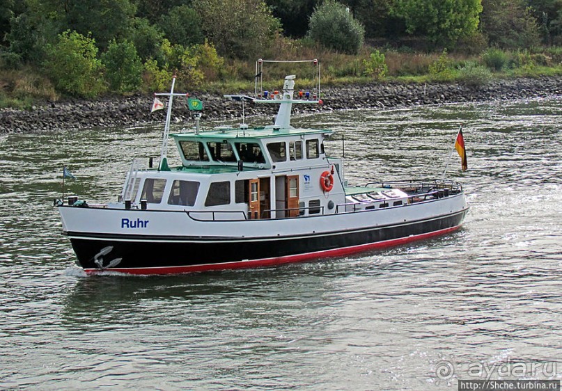 Что ходит по Рейну